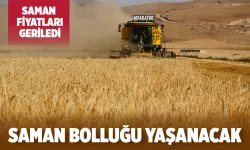 Saman fiyatı son yılların en düşük seviyesine düştü