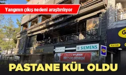 BATMAN'DA PASTANE KÜL OLDU
