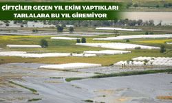 TARLALARDA BALIKLAR DOLAŞIYOR!