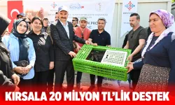 Batman’da 662 kadın girişimciye 40 Bin ‘koşan tavuk’ desteği