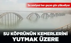 SU KÖPRÜNÜN KEMERLERİNİ YUTMAK ÜZERE