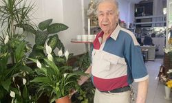 Direkt güneş ışığı çiçekler için zararlı