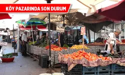 Köy pazarında sebze-meyve fiyatları geriledi
