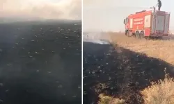 Batman'da 150 dönümde etkili olan anız yangını söndürüldü