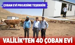 Batman’ın kırsalında besicilerin gözdesi; Çoban evi…