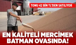 Batman’ın kaliteli kırmızı mercimeği, Mersin ve Gaziantep’e gönderiliyor