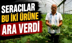 Üç buçuk hafta öncesine kadar kilosu 25 TL olan salatalık 3 TL’ye düştü
