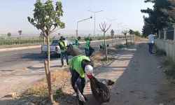 ÇEVRE YOLUNDA YANGINA KARŞI TEMİZLİK