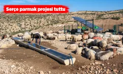 KIRSALDAKİ HAYVANLARA CAN SUYU