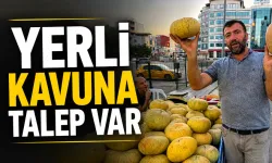 YERLİ KAVUNA TALEP VAR