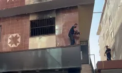 Batman'da metruk binada kilitli kalan 5 yavru kedi kurtarıldı