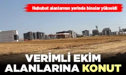 Hububat alanlarının yerinde binalar yükseldi