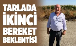 Hububat hasadından sonra sıra mısır ekiminde