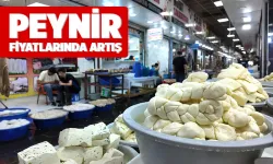 Göçerler yaylalara çıktı, süt ürünlerinin fiyatı arttı