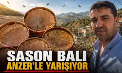 SASON BALI ANZER’LE YARIŞIYOR