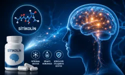 Sitikolin, nörolojik iyileşme sürecinde destekleyici rol oynuyor