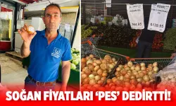 Bir ay önce 15 TL’den satılıyordu, 65 liraya çıktı