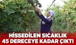 Tarım ve inşaat sektöründe çalışanların zorlu mesaisi