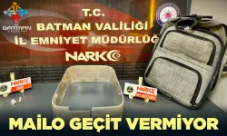 Narkotik dedektörü köpek Mailo uyuşturucuyu yakalıyor
