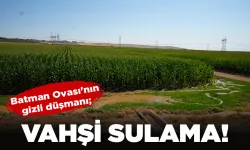 Batman Ovası'nın gizli düşmanı;