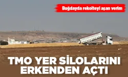 Batman'da buğdayda rekolteyi aşan verim