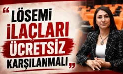 Milletvekili Zeynep Oduncu Kutevi’den soru önergesi