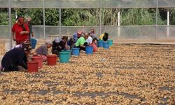 'İşletmelerin ve tüccarların denetlenmesi lazım'