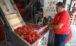 Kışlık salça mesaisi başladı