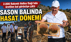 SASON BALINDA HASAT DÖNEMİ