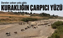 KURAKLIĞIN ÇARPICI YÜZÜ
