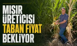 Mısır üreticisi hak ettiği fiyatı istiyor