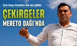 ÇEKİRGELER MERETO DAĞI’NDA