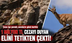 1 MİLYON TL CEZAYI DUYAN ELİNİ TETİKTEN ÇEKTİ!