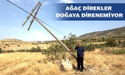 TELEKOM HATTI DİREKLERİNE DİKKAT