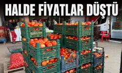 Ahlat domatesi fiyatı dengeledi