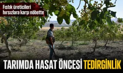 TARIMDA HASAT ÖNCESİ TEDİRGİNLİK