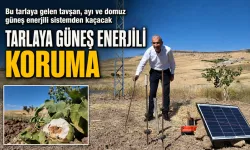 TARLAYA GÜNEŞ ENERJİLİ KORUMA