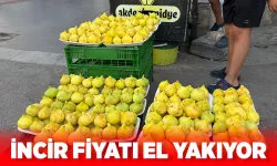 Hasankeyf inciri pazarda