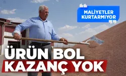 Batman Ovası’nda mercimek üreticisi fiyatlara tepkili…