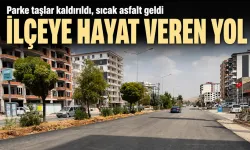 Parke taşlar kaldırıldı, sıcak asfalt geldi