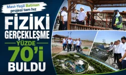 Mavi-Yeşil Batman projesi tam hız
