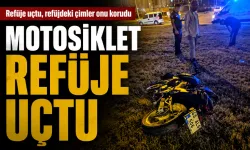 Refüje uçtu, refüjdeki çimler onu korudu