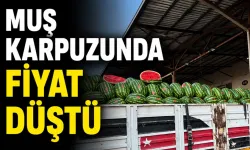 MUŞ KARPUZUNDA FİYAT DÜŞTÜ