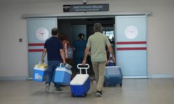 21 yaşında hayata veda etti, organları 7 hayata umut olacak