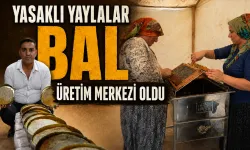 Huzur geldi, bal rekoltesi yüzde 40 arttı…