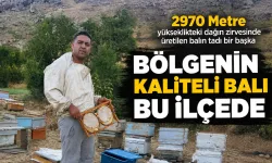 BÖLGENİN KALİTELİ BALI BU İLÇEDE