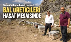 BAL ÜRETİCİLERİ HASAT MESAİSİNDE