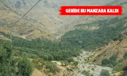 DERELERDE KORKUTAN MANZARALAR