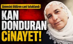 Annesini öldüren cani tutuklandı