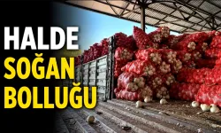 Batman sebze ve meyve halinde Özbekistan soğanı